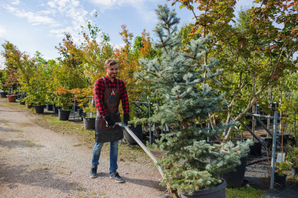  Granby, CO Tree Services Pros